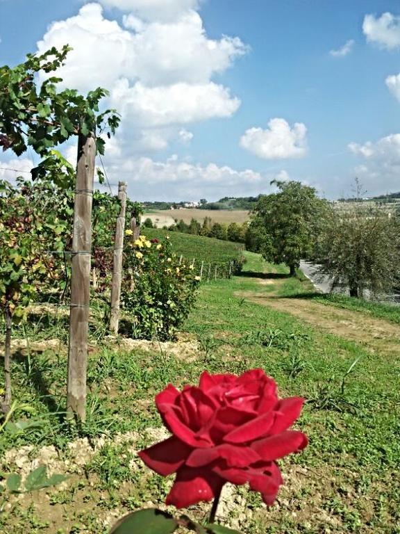 B&B Vigneto Pardom Montiglio Zewnętrze zdjęcie