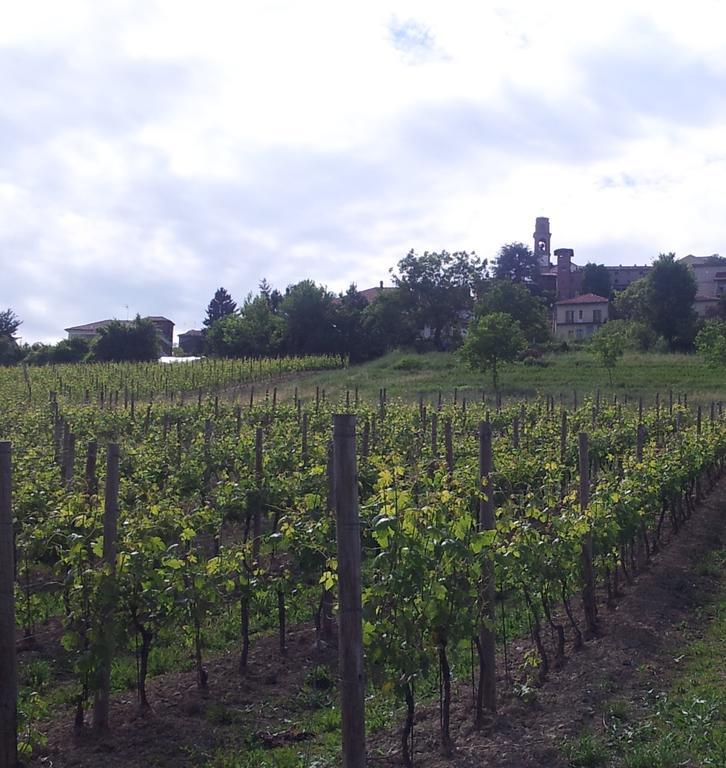 B&B Vigneto Pardom Montiglio Zewnętrze zdjęcie