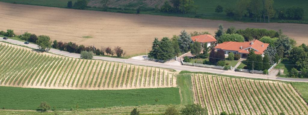 B&B Vigneto Pardom Montiglio Zewnętrze zdjęcie